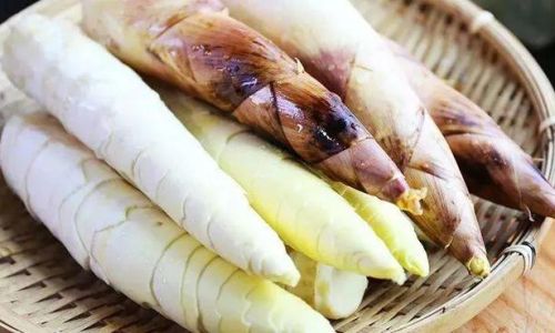 The Art of Preserving Spring:A Comprehensive Guide to Pickling Fresh Bamboo Shoots