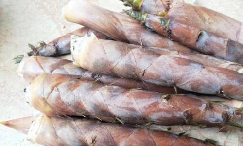 The Art of Preserving Spring:A Comprehensive Guide to Pickling Fresh Bamboo Shoots