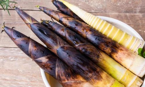 Maximizing Shelf Life:Expert Techniques for Preserving Spring Bamboo Shoots Longest