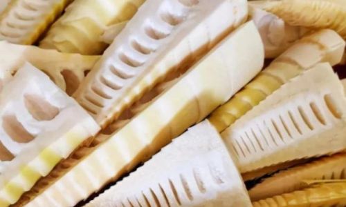 Maximizing Shelf Life:Expert Techniques for Preserving Spring Bamboo Shoots Longest