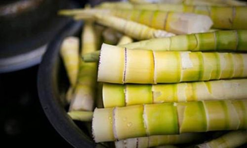 Mastering the Art of Removing Bitterness from Spring Bamboo Shoots:A Comprehensive Guide