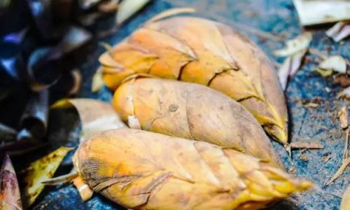 Spring Bamboo Shoots vs.Winter Bamboo Shoots:A Culinary Showdown for the Discerning Palate