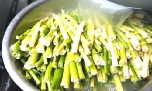 Preserving the Freshness:Two Effective Methods to Store Spring Bamboo Shoots in Your Refrigerator