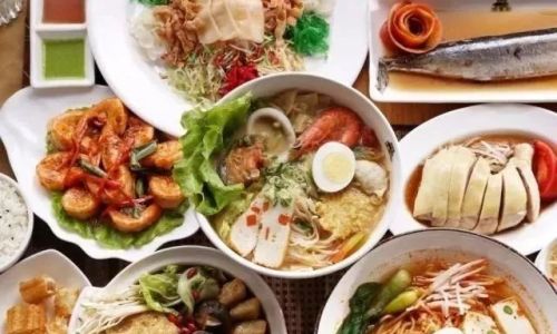 Traditional Delicacies and Their Cultural Significance During the Chinese New Year Celebration