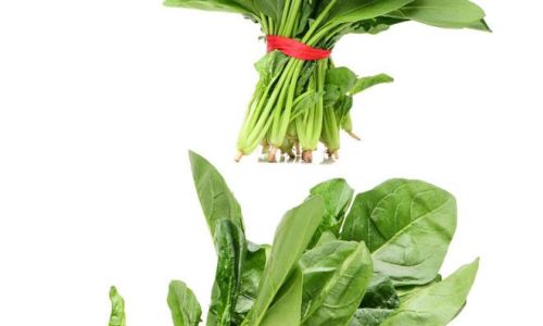 A Comprehensive Guide to Spring Vegetables:Varieties,Uses,and Nutritional Benefits
