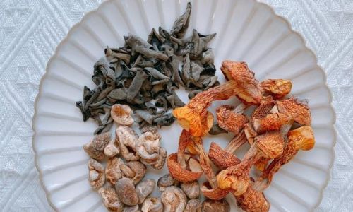 Springs Bounty:A Guide to Seasonal Mushrooms and Their Culinary Delights