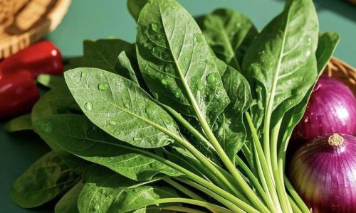 Embracing the Bounty of Spring:A Guide to Seasonal Vegetables and Their Culinary Delights