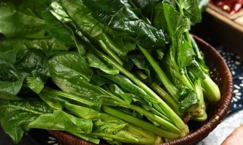 Embracing the Bounty of Spring:A Guide to Seasonal Vegetables and Their Culinary Delights