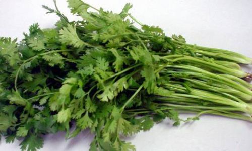 Embracing the Bounty of Spring:A Guide to Seasonal Vegetables and Their Culinary Delights