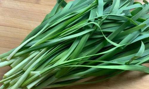 Spring Delights:Exploring the Versatile and Nutritious World of Chive Recipes