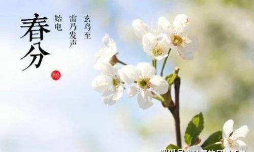 Foods to Avoid During the Spring Equinox:Traditions,Science,and Cultural Practices