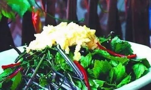 Spring into Flavor:Mastering the Art of Cooking Seasonal Spring Vegetables