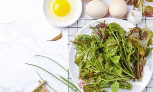 Spring into Flavor:Mastering the Art of Cooking Seasonal Spring Vegetables
