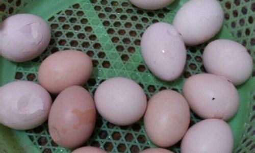 The Art of Crafting Traditional Homemade Tea Eggs:A Step-by-Step Guide to Authentic Flavor