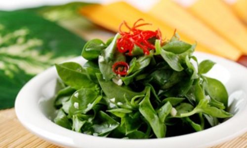 Understanding Andrographis:Flavor and Nutritional Profile