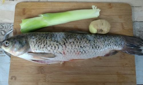 How to Cook Delicious and Easy Fish Fillets