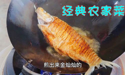 How to Cook Delicious and Easy Fish Fillets