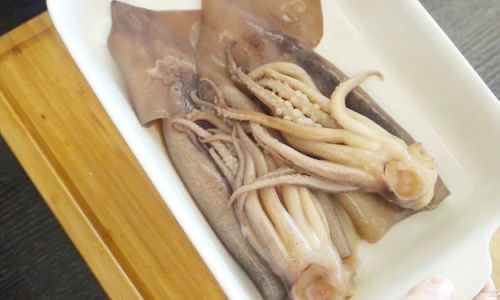Mastering the Art of Cooking Delicious Squid:Tips,Techniques,and Recipes