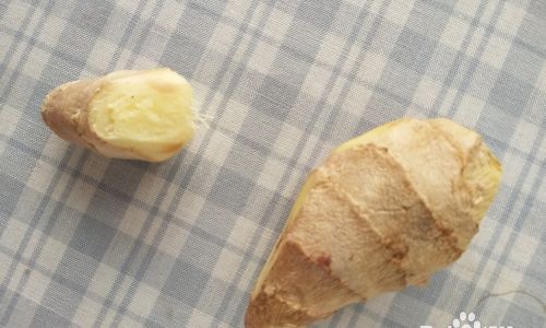 Mastering the Art of Making Onion and Egg Stew