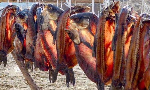How to Make Sun-Dried Fish Blocks:A Step-by-Step Guide