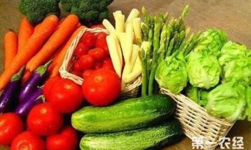 A Culinary Delight:Discover the Crispy Vegetable Dish That Youll Fall in Love with at First Bite