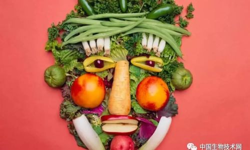 A Culinary Delight:Discover the Crispy Vegetable Dish That Youll Fall in Love with at First Bite