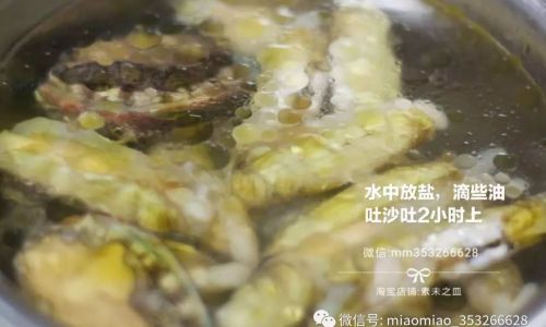 How Long Does It Take to Cook a Common Sea Snail?