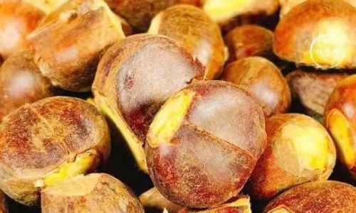 How Long Should Chestnuts Be Boiled?A Comprehensive Guide