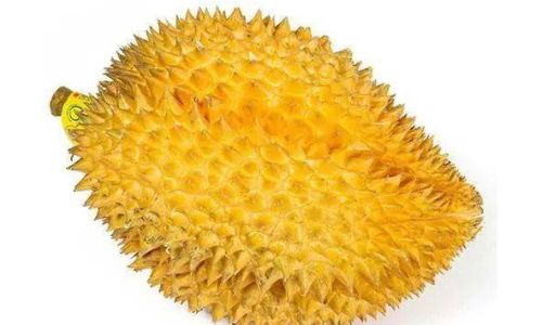 Thawing Durian Frozen in Liquid Nitrogen:A Comprehensive Guide
