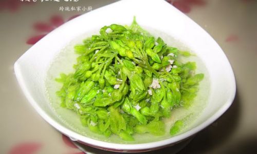 Mastering the Art of Cooking Night-Blooming Jasmine for a Delightful Culinary Experience