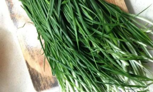 Mastering the Art of Cooking Wild Garlic Allium ursinum)Unlocking Culinary Delights