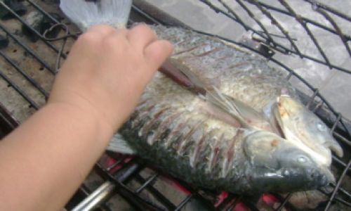 Essential Ingredients for Grilling Fish in the Wild