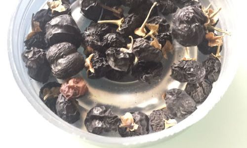 The Proper Way to Brew and Consume Wild Black Goji Berries