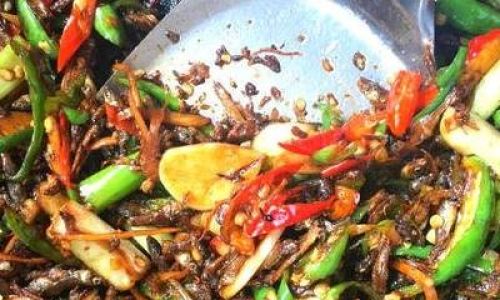 Mastering the Culinary Art of Wild River Fish:Techniques and Recipes for a Delightful Feast