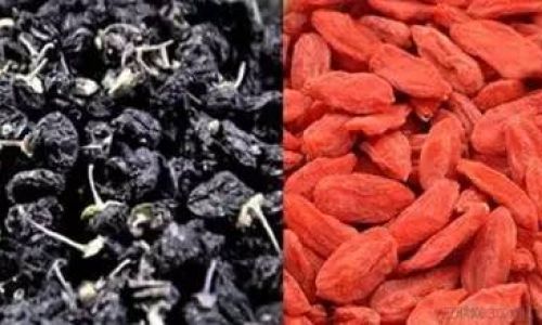 Exploring the Culinary Delights of Wild Goji Berries:How to Enjoy Their Natural Goodness