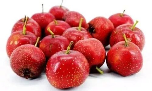 Determining the Ripeness of Wild Hawthorn:A Comprehensive Guide