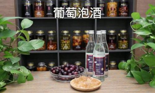 Crafting Gourmet Wild Grape Wine:A Step-by-Step Guide