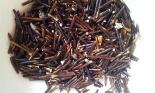 Exploring the Culinary Art of Wild Rice Preparation