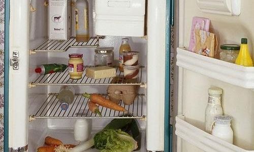 Can Wild Solanum nigrum Seedlings Be Stored in the Refrigerator for Freshness Preservation?