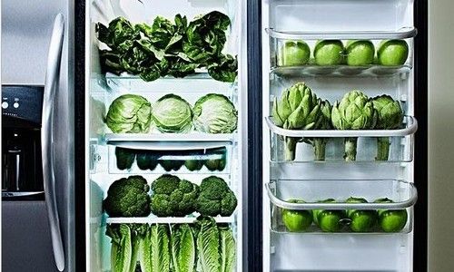 Can Wild Solanum nigrum Seedlings Be Stored in the Refrigerator for Freshness Preservation?