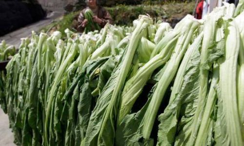 Drying Wild Mustard Greens:A Comprehensive Guide