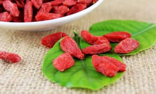 Understanding the Causes of Mold Growth on Dried Wild Goji Berries