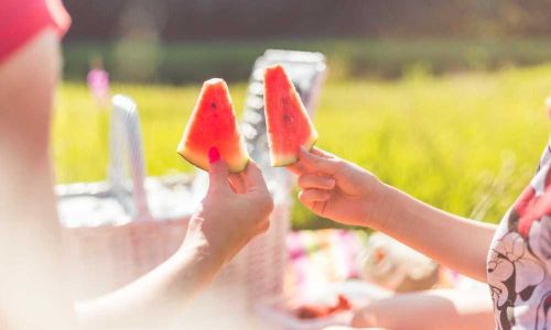 A Comprehensive Guide to Planning a Picnic with Homemade Meals:Essential Ingredients and Tips