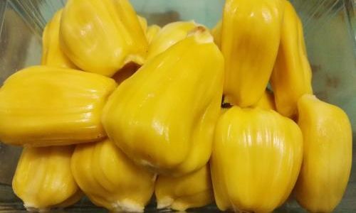 Edible Parts of the Wild Pineapple:A Comprehensive Guide