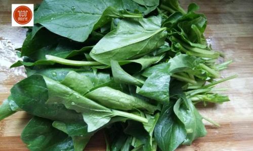 Culinary Delights:How to Cook Wild Spinach for a Scrumptious Meal