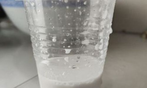 Exploring the Versatile Ways to Enjoy Coconut Water:A Culinary Delight