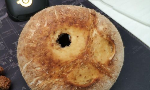 Discovering the Delights of Coconut:How to Enjoy Coconut Meat