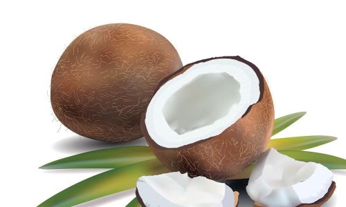 Common Ways to Enjoy Coconut Meat and Tips for Perfect Preparation