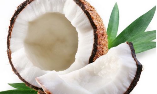 Common Ways to Enjoy Coconut Meat and Tips for Perfect Preparation