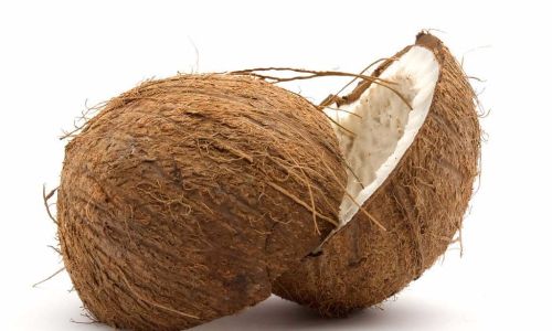 Common Ways to Enjoy Coconut Meat and Tips for Perfect Preparation